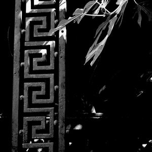 Eléménts géométriques en fer et branche de figuier en noir et blanc - France  - collection de photos clin d'oeil, catégorie clindoeil